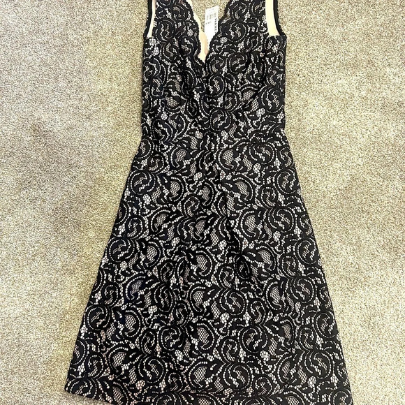 NWT warehouse brand dress size  2 black lace - Picture 4 of 8